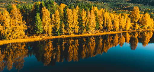 Autumn colours from trees mirroring surface of river 