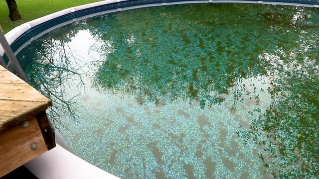 pan across dirty pool by deck