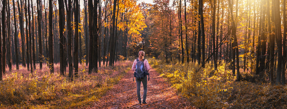 Woman hiking in forest at autumn season. Traveler with backpack on footpath in woodland. Panoramic picture