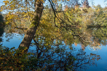 Fototapeta premium Sunny day in October 2018 at city park Abackarna along Motala river in Norrkoping, Sweden.
