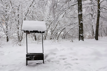 chargrill in the park in winter