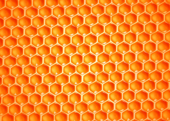 Bee wax cells texture.