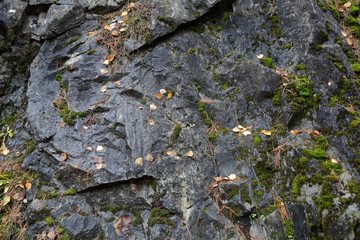 Original textured surface of of a natural coarse stone
