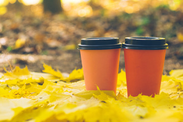 Coffee take away cups in an autumn foliage. Outdoor coffee. Autumn picnic background