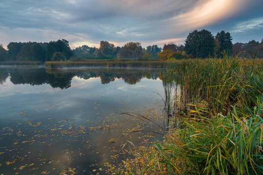 Pond at autumn in Falenty near Raszyn, Masovia, Poland