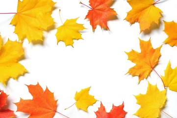Naklejka na ściany i meble Yellow and orange maple leaves. Flat lay beauty frame. Autumn design