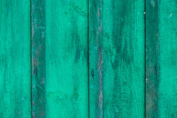Fototapeta na wymiar Grüne Holzwand mit Spinnweben