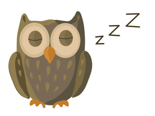 Сова спит