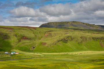 Green valley near Vik, Iceland on overcast summer day, dramatic clouds, beautiful scenery