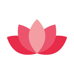 lotus flower decoration on white background