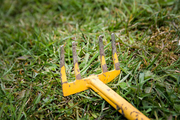 Old weeding tool or rake with missing branch abandoned lying in green grass.