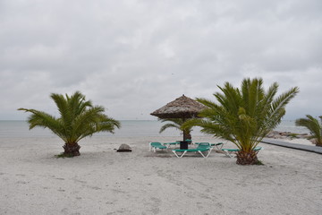 Dänemark, Palmestranden, Frederikshavn, Palme, Palmen, Palmenstrand, Sand, Sandstrand, Sonnenschirm, Schirm, Wiese, Weg, Strand, Sommer, Herbst