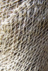 Macro shot of netting