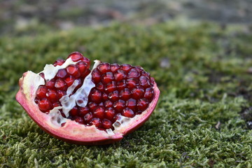 Wedge of ripe pomegranate on moss. In China pomegranates  are a symbol of fertility and a wish for numerous progeny .