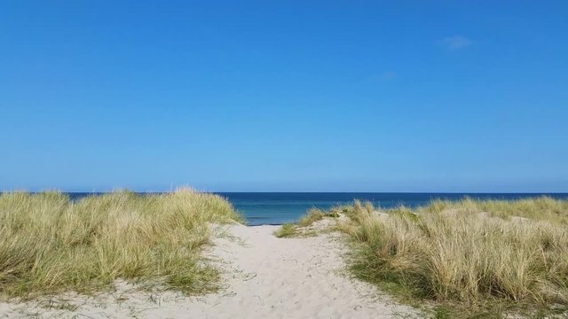 Liseleje Beach by the Tisvilde forest and coastal area on the Danish island of Zealand. A pristine spring morning with a sunny clear blue sky. Sand dunes with reeds. A sandy pathway to the ocean.