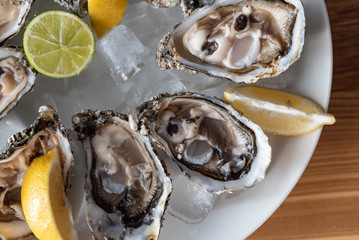 oyster on the ice