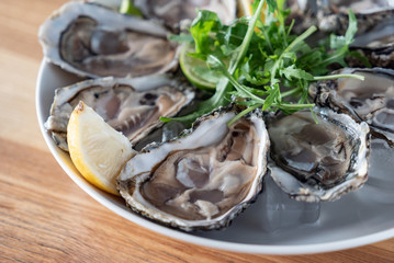 oysters on the ice