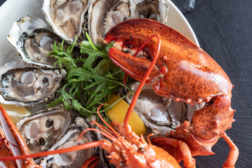 cooked lobster closeup