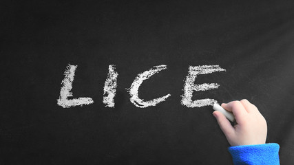 Lice word written on a blackboard in a classroom at school. Empty copy space for Editor's text.