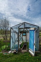 Small greenhouse with doors opened in a garden  in spring at day. Naked trees and grass in surrounding.