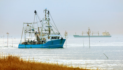 Fototapeta premium Krabbenkutter auf der Heimfahrt an der Nordseeküste, Küstenfischerei in Norddeutschland 