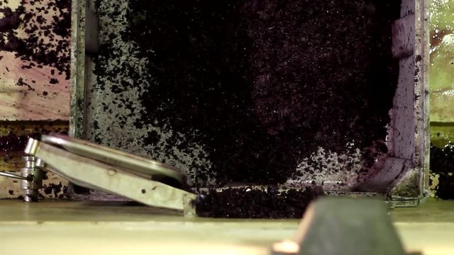 Sacando el mosto de las piletas.
Wine making. Taking must out of the tanks.