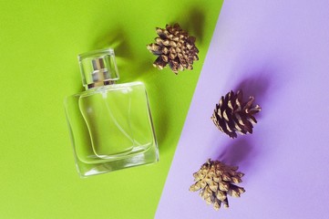 Flat lay beauty photo. Perfume bottle and pine cones. Fresh fragrance on a purple and green background