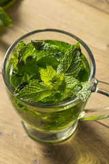 Homemade Hot Fresh Mint Tea