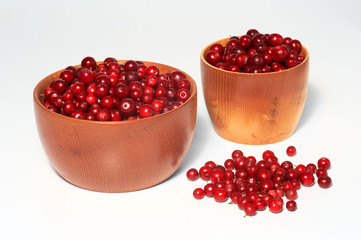 Wooden bowl with red bilberry on white background