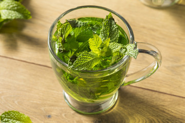 Homemade Hot Fresh Mint Tea