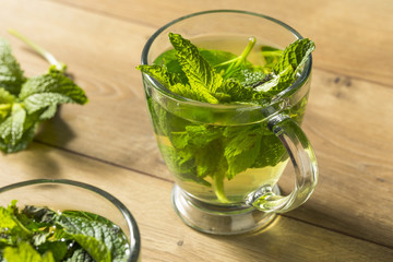 Homemade Hot Fresh Mint Tea