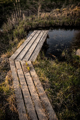 Fototapeta premium Wooden path over small pond in garden in early spring in sunset.