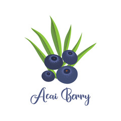 Illustration berries Akai to design logos, labels and packaging of organic food