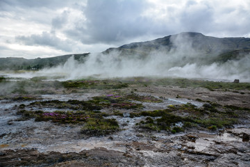 Geyser Park in Iceland, hot steam coming from the ground
