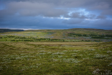 Fototapeta na wymiar Meadow with scenic sky near Gullfoss waterfall in summer in Iceland, Europe