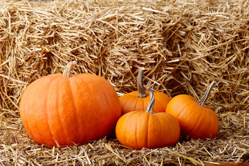 Orange halloween pumpkins on stack of hay or straw in sunny day, fall display © kobeza