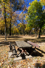 Colorful autumn park with wooden tables and bench
