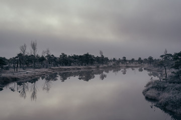 Bog with small pine trees covered in early winter morning frost reflecting in pond. Kemeri national park at sunrise, Latvia. Vintage effect with some grain.