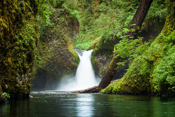 Obraz premium Eagle Creek Cascades