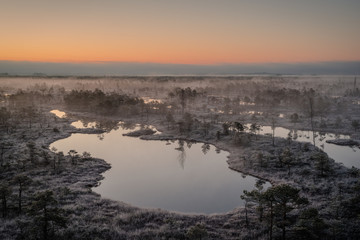 Swamp with small pine trees covered in early winter morning frost reflecting in pond. Kemeri national park at misty dawn, Latvia. Vintage, retro effect.