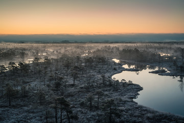 Fototapeta na wymiar Swamp with small pine trees covered in early winter morning frost with pond. Kemeri national park at misty sunrise, Latvia.