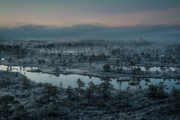 Fototapeta na wymiar Bog with small pine trees covered in early winter morning frost reflecting in pond. Kemeri national park, Latvia. Rising fog.
