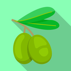 Greek olive icon. Flat illustration of greek olive vector icon for web design