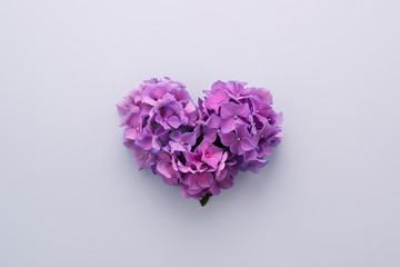 Heart shape made of purple flowers on lilac background. Love symbol. Top view