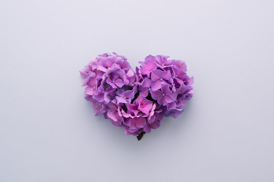 Heart shape made of purple flowers on lilac background. Love symbol. Top view