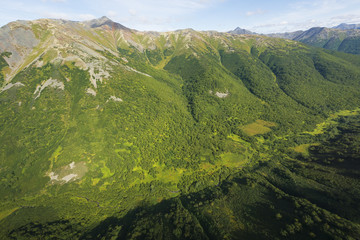 Aerial photography of nature forests.