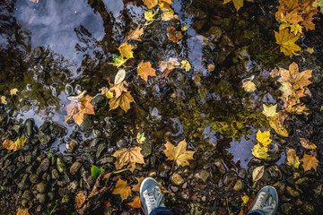 Boots standing in rain puddle with colorful leaves and blue sky reflecting in it.
