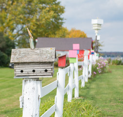 Bird Houses in a Row