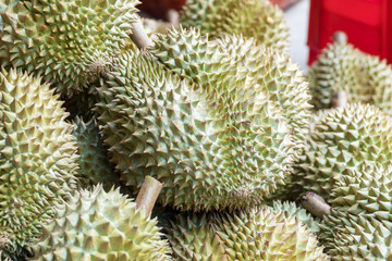 Naklejka na ściany i meble Pile of fresh asian tropical durians in the market. The king of fruits. (Durian tree)