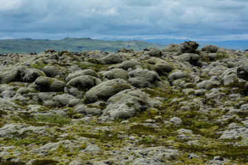 Lava stones covered by moss with blue sky and mountains in the background, in Iceland
